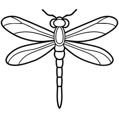 black and white  dragonfly logo icon vector illustration.