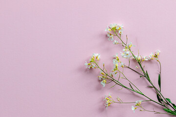 small bouquet of wild flowers on a pink background