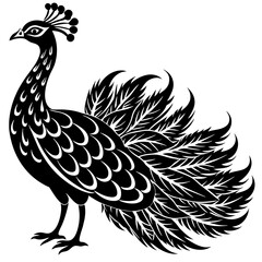 A black and white peacock logo icon vector illustration.
