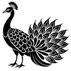 A black and white peacock logo icon vector illustration.