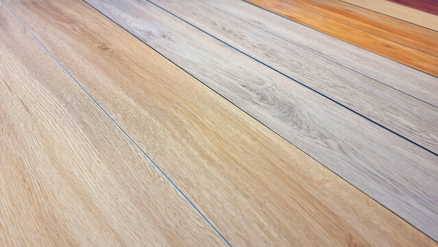 chart color of spc vinyl flooring tiles plank sample showing multi color and texture of wood, close up view. wood texture for flooring and interior design. production of wooden floor materials.