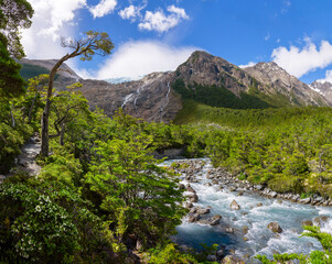 Patagonia Hanging Glacier and Leaning Tree