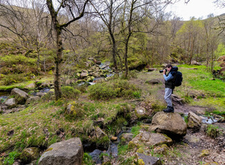 Obraz premium Young photographer standing on a large rock in a forest woodland scene with a slow moving moorland stream surrounded by trees