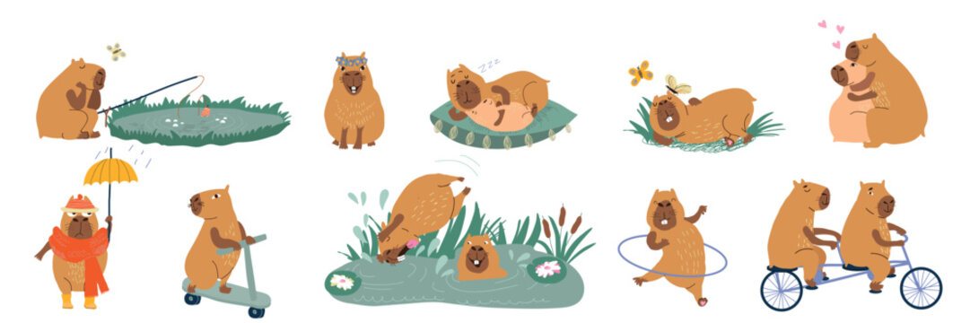 Fluffy copybaras have good time outdoors, fishing or swimming in swamp and sleeping lying on grass. Cute copybaras with bicycle or hula hoop for outdoor activities, near sad animal with umbrella