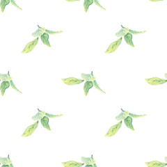 Leaves green apple fruit watercolor seamless pattern, hand-painted in botanical style, for textile, wallpaper, postcard, wedding, holiday design, scrapbooking, wrapping paper, background