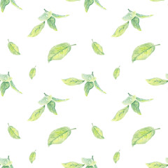 Leaves green apple fruit watercolor seamless pattern, hand-painted in botanical style, for textile, wallpaper, postcard, wedding, holiday design, scrapbooking, wrapping paper