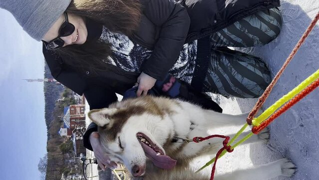 dogs in harness. Huskies pull the sled. the dogs are harnessed to the sleigh. Lake Baikal, the nature of Lake Baikal. Huskies pull a sleigh across a frozen lake