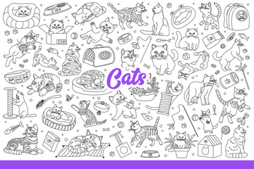 Domestic cats have fun with favorite toys or sleep on beds and sharpen claws. Background with pets pleasing owners, for advertising accessories store or cat food. Hand drawn doodle - 791938435