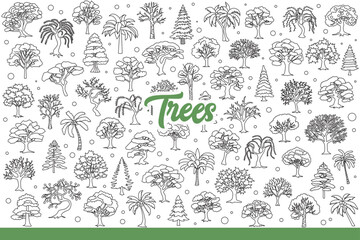 Forest trees growing in different regions, for concept of biodiversity. Seasonal and evergreen trees covered with foliage and towering in national parks or taiga. Hand drawn doodle