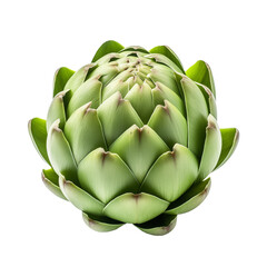 Fototapeta premium artichoke isolated on white