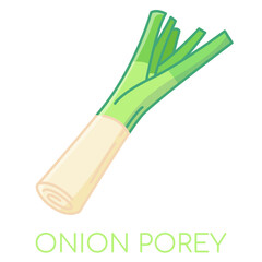 Onion porey vegetable lcolored icons illustration