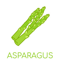 Asparagus vegetable lcolored icons illustration