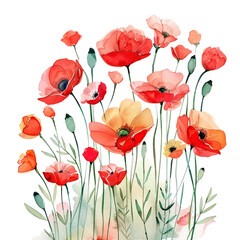 Bright Red Poppies Watercolor Illustration Clipart
