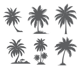 vector set of tropical palm and tree silhouettes. EPS ,Set tropical palm trees with leaves, mature and young plants, black silhouettes isolated on white background. Vector