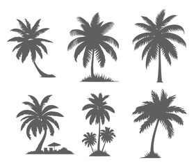 Obraz premium vector set of tropical palm and tree silhouettes. EPS ,Set tropical palm trees with leaves, mature and young plants, black silhouettes isolated on white background. Vector