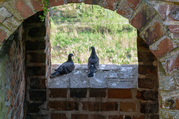 Two pigeons sit on a window sill in a historic castle