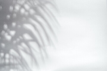 Blurred shadow of tropical palm leaves on gray wall background. Summer concept.