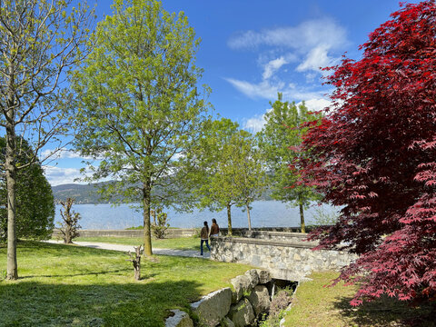 parco urbano ad ispra sul lago maggiore in italia, urban park in ispra on the lake maggiore in italy 