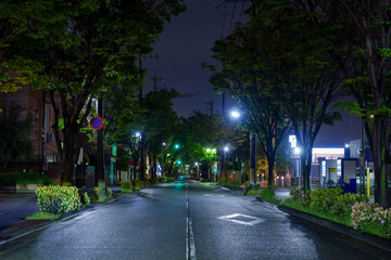 雨上がりの深夜の道路の風景