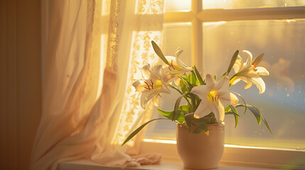 potted Easter Lily plant gracing a sunlit window sill, its graceful blooms casting a soft glow as they bask in the warmth of the morning light, evoking a sense of serenity and tranquility.