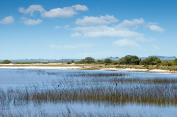 Beautiful view of the lagoon on laguna negra in uruguay