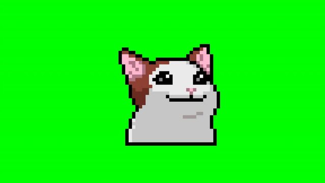 Funny cat video, pixel art meme