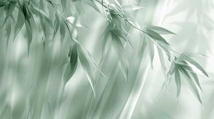   A crisp image of a bamboo tree, its leaves distinct on branches, against a softly blurred background