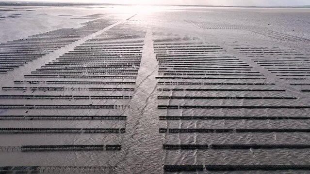 Aerial view of oyster farms in Whitstable, a town  on the north coast of Kent in Britain, UK