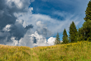 Krajobraz z burzowymi chmurami nad polaną w górach