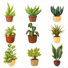 Fototapeta na wymiar A set of potted indoor plants. Vector illustration on a transparent background