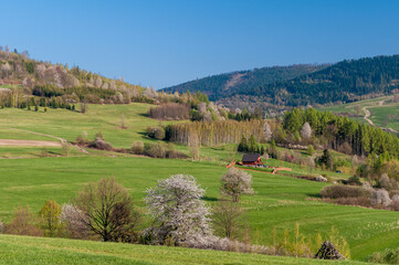 wiosenna panorama w Beskidach z widokiem na góry
