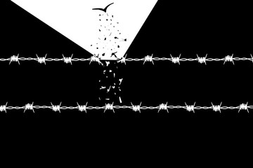 concept freedom, flight, breaking barriers, liberation, victory. barbed wire breaks and turns into a bird	 - obrazy, fototapety, plakaty