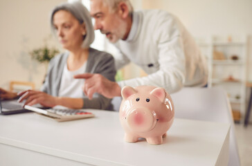 Pig money saving, piggy bank safe box close up, senior couple calculating, count total budget...