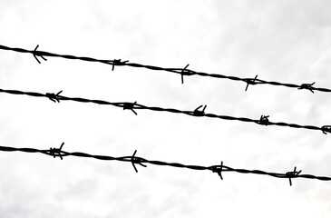 Three strands of barbed wire on the impassable border of the protected area - obrazy, fototapety, plakaty