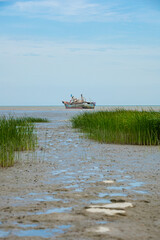 Hengsha Island, Chongming District, Shanghai-Wetland Scenery