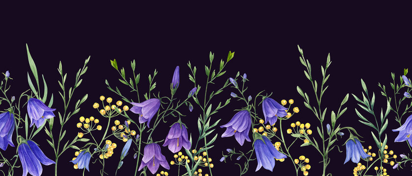 Campanula, wild meadow plants. Blue, yellow flowers. Floral seamless horizontal border. Watercolor ornate isolated on black background. Panoramic illustration with summer herbs for textile, wrapping.