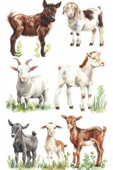 Group of goats on grass field