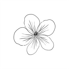 line art illustration of geranium flower for icon or logo