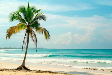 Photo sur Aluminium Anse Source D'Agent, île de La Digue, Seychelles A single palm tree stands tall on sandy beach under a clear blue sky.