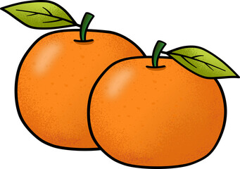 Mandarin, tangerine with leaves illustration