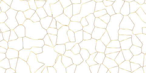 Abstract white crystalized broken glass background .black stained glass window art vector background . broken stained glass golden lines geometric pattern .