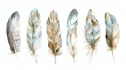 Group of feathers together