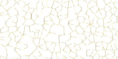 Abstract white crystalized broken glass background .black stained glass window art vector background . broken stained glass golden lines geometric pattern .
