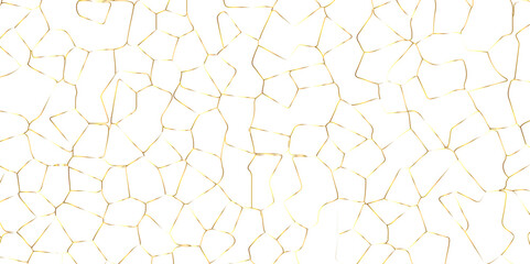 Obraz premium Abstract white crystalized broken glass background .black stained glass window art vector background . broken stained glass golden lines geometric pattern .