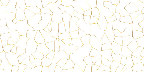 Abstract white crystalized broken glass background .black stained glass window art vector background . broken stained glass golden lines geometric pattern .