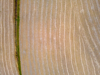 Aerial top down of corn field in the Appalachian mountains in rural Herndon Pennsylvania