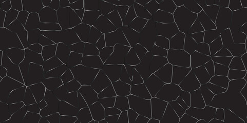 Fototapeta premium Abstract black crystalized broken glass background .black stained glass window art vector background . broken stained glass gray lines geometric pattern .