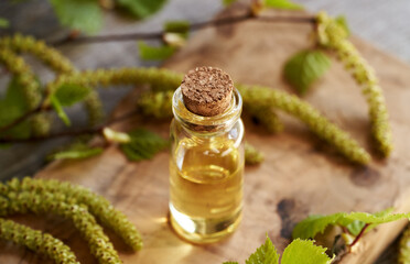 A bottle of essential oil with birch tree branches with catkins and very young leaves harvested in...