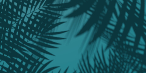 Tropical frame with palm leaves. Summer banner template with border of coconut palm foliage, 3d render.