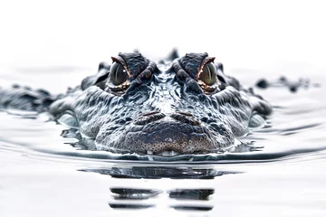 Wandaufkleber A crocodile stalking its prey in water © Veniamin Kraskov